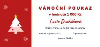 Vzor dárkového poukazu: Vánoční poukaz