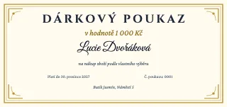 Vzor dárkového poukazu: Poukaz do obchodu