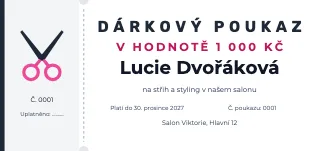 Vzor dárkového poukazu: Poukaz do salonu